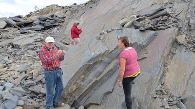 Quarry Tour in Action