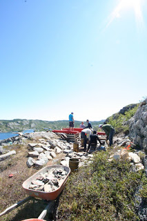 Brigus Workshop